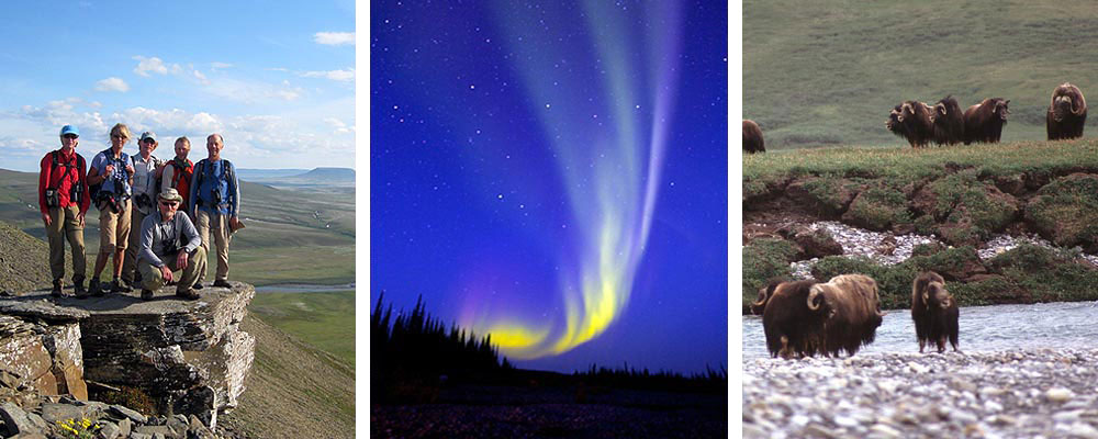 Wilderness Alaska - Great People, Beautiful Scenery, Abundant Wildlife Group, Aurora Borealis, Musk Oxen